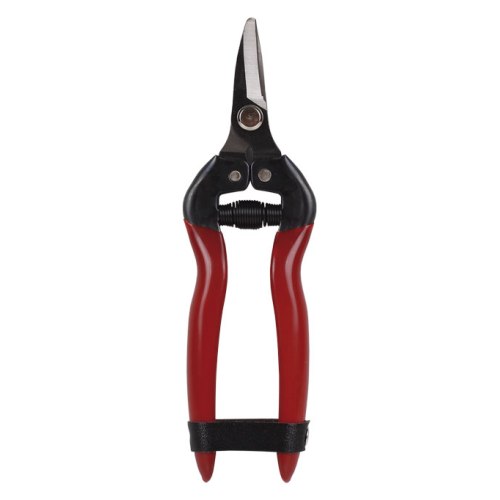 TIJERA DE RECOLECCIÓN- Punta curva